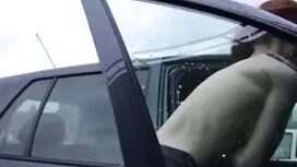 Lijepo usisan kurac  ...