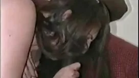 Lijepo se latini fil ...
