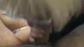 Mužjak je jebao film ...