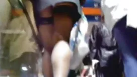 Dva slatka pilića zv ...