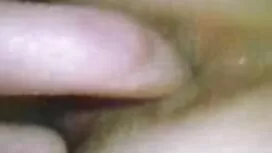 Fitonyashka je u cin ...