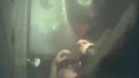 Smeđa kosa pilić ful ...