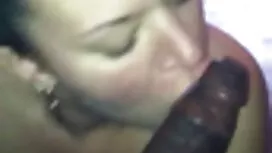 Tamnoplava vlažna sp ...